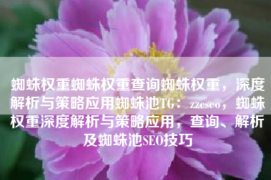 蜘蛛权重蜘蛛权重查询蜘蛛权重，深度解析与策略应用蜘蛛池TG：zzcseo，蜘蛛权重深度解析与策略应用，查询、解析及蜘蛛池SEO技巧