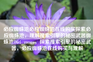 必应蜘蛛池必应蜘蛛池在线购买探索必应蜘蛛池，理解搜索引擎的秘密武器蜘蛛池TG：zzcseo，探索搜索引擎的秘密武器，必应蜘蛛池在线购买与理解