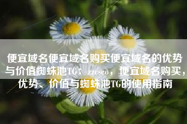 便宜域名便宜域名购买便宜域名的优势与价值蜘蛛池TG：zzcseo，便宜域名购买，优势、价值与蜘蛛池TG的使用指南