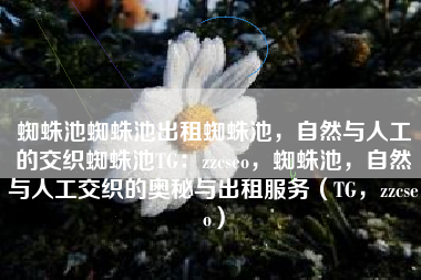 蜘蛛池蜘蛛池出租蜘蛛池，自然与人工的交织蜘蛛池TG：zzcseo，蜘蛛池，自然与人工交织的奥秘与出租服务（TG，zzcseo）