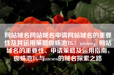 网站域名网站域名申请网站域名的重要性及其运用策略蜘蛛池TG：zzcseo，网站域名的重要性、申请策略及运用指南，蜘蛛池TG与zzcseo的域名探索之路