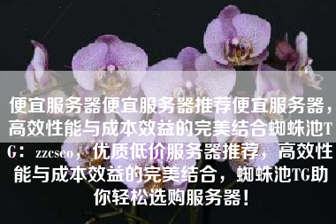 便宜服务器便宜服务器推荐便宜服务器，高效性能与成本效益的完美结合蜘蛛池TG：zzcseo，优质低价服务器推荐，高效性能与成本效益的完美结合，蜘蛛池TG助你轻松选购服务器！