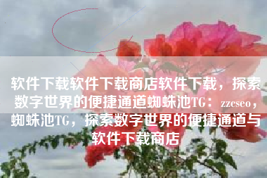 软件下载软件下载商店软件下载，探索数字世界的便捷通道蜘蛛池TG：zzcseo，蜘蛛池TG，探索数字世界的便捷通道与软件下载商店