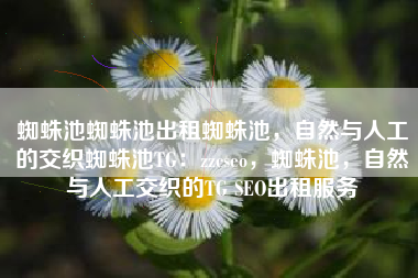 蜘蛛池蜘蛛池出租蜘蛛池，自然与人工的交织蜘蛛池TG：zzcseo，蜘蛛池，自然与人工交织的TG SEO出租服务