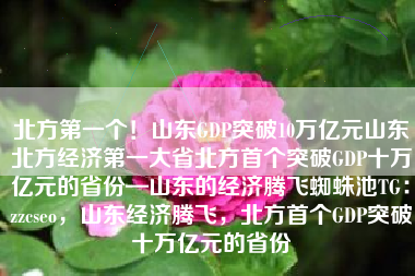 北方第一个！山东GDP突破10万亿元山东北方经济第一大省北方首个突破GDP十万亿元的省份—山东的经济腾飞蜘蛛池TG：zzcseo，山东经济腾飞，北方首个GDP突破十万亿元的省份