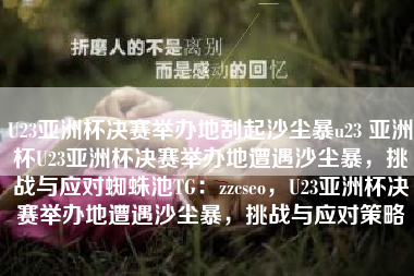 U23亚洲杯决赛举办地刮起沙尘暴u23 亚洲杯U23亚洲杯决赛举办地遭遇沙尘暴，挑战与应对蜘蛛池TG：zzcseo，U23亚洲杯决赛举办地遭遇沙尘暴，挑战与应对策略