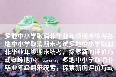 多地中小学取消非毕业年级期末统考各地中小学取消期末考试多地中小学取消非毕业年级期末统考，探索新的评价方式蜘蛛池TG：zzcseo，多地中小学取消非毕业年级期末统考，探索新的评价方式