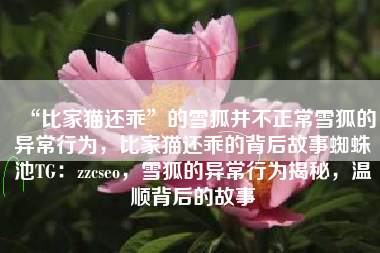 “比家猫还乖”的雪狐并不正常雪狐的异常行为，比家猫还乖的背后故事蜘蛛池TG：zzcseo，雪狐的异常行为揭秘，温顺背后的故事