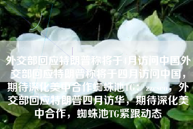 外交部回应特朗普称将于4月访问中国外交部回应特朗普称将于四月访问中国，期待深化美中合作蜘蛛池TG：zzcseo，外交部回应特朗普四月访华，期待深化美中合作，蜘蛛池TG紧跟动态