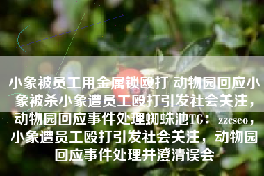 小象被员工用金属锁殴打 动物园回应小象被杀小象遭员工殴打引发社会关注，动物园回应事件处理蜘蛛池TG：zzcseo，小象遭员工殴打引发社会关注，动物园回应事件处理并澄清误会