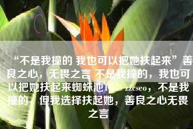 “不是我撞的 我也可以把她扶起来”善良之心，无畏之言 不是我撞的，我也可以把她扶起来蜘蛛池TG：zzcseo，不是我撞的，但我选择扶起她，善良之心无畏之言