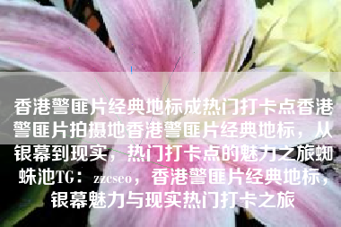 香港警匪片经典地标成热门打卡点香港警匪片拍摄地香港警匪片经典地标，从银幕到现实，热门打卡点的魅力之旅蜘蛛池TG：zzcseo，香港警匪片经典地标，银幕魅力与现实热门打卡之旅