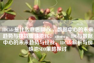 IDCidc是什么意思啊IDC，数据中心的未来趋势与挑战蜘蛛池TG：zzcseo，IDC与数据中心的未来趋势与挑战，IDCidc解析与蜘蛛池SEO策略探讨