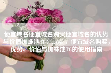 便宜域名便宜域名购买便宜域名的优势与价值蜘蛛池TG：zzcseo，便宜域名购买，优势、价值与蜘蛛池TG的使用指南