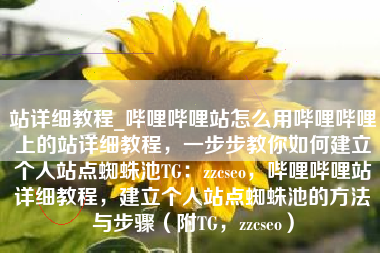 站详细教程_哔哩哔哩站怎么用哔哩哔哩上的站详细教程，一步步教你如何建立个人站点蜘蛛池TG：zzcseo，哔哩哔哩站详细教程，建立个人站点蜘蛛池的方法与步骤（附TG，zzcseo）