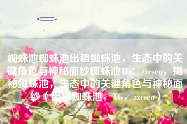 蜘蛛池蜘蛛池出租蜘蛛池，生态中的关键角色与神秘面纱蜘蛛池TG：zzcseo，揭秘蜘蛛池，生态中的关键角色与神秘面纱（出租蜘蛛池，TG，zzcseo）