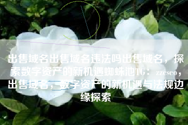 出售域名出售域名违法吗出售域名，探索数字资产的新机遇蜘蛛池TG：zzcseo，出售域名，数字资产的新机遇与法规边缘探索