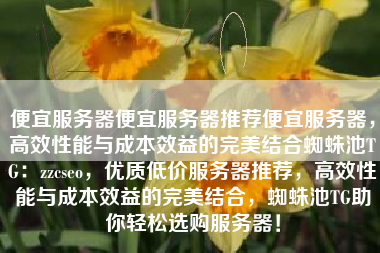 便宜服务器便宜服务器推荐便宜服务器，高效性能与成本效益的完美结合蜘蛛池TG：zzcseo，优质低价服务器推荐，高效性能与成本效益的完美结合，蜘蛛池TG助你轻松选购服务器！