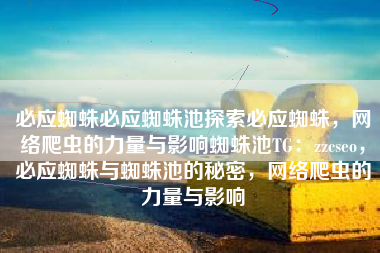 必应蜘蛛必应蜘蛛池探索必应蜘蛛，网络爬虫的力量与影响蜘蛛池TG：zzcseo，必应蜘蛛与蜘蛛池的秘密，网络爬虫的力量与影响