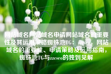 网站域名网站域名申请网站域名的重要性及其运用策略蜘蛛池TG：zzcseo，网站域名的重要性、申请策略及运用指南，蜘蛛池TG与zzcseo的独到见解