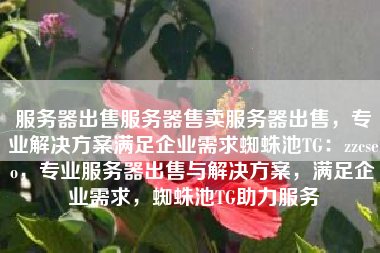 服务器出售服务器售卖服务器出售，专业解决方案满足企业需求蜘蛛池TG：zzcseo，专业服务器出售与解决方案，满足企业需求，蜘蛛池TG助力服务