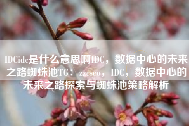 IDCidc是什么意思啊IDC，数据中心的未来之路蜘蛛池TG：zzcseo，IDC，数据中心的未来之路探索与蜘蛛池策略解析