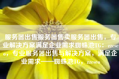 服务器出售服务器售卖服务器出售，专业解决方案满足企业需求蜘蛛池TG：zzcseo，专业服务器出售与解决方案，满足企业需求——蜘蛛池TG，zzcseo