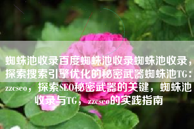 蜘蛛池收录百度蜘蛛池收录蜘蛛池收录，探索搜索引擎优化的秘密武器蜘蛛池TG：zzcseo，探索SEO秘密武器的关键，蜘蛛池收录与TG，zzcseo的实践指南