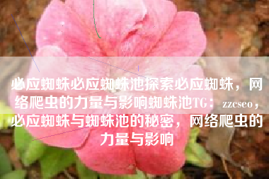 必应蜘蛛必应蜘蛛池探索必应蜘蛛，网络爬虫的力量与影响蜘蛛池TG：zzcseo，必应蜘蛛与蜘蛛池的秘密，网络爬虫的力量与影响