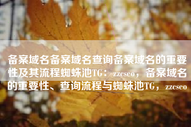 备案域名备案域名查询备案域名的重要性及其流程蜘蛛池TG：zzcseo，备案域名的重要性、查询流程与蜘蛛池TG，zzcseo