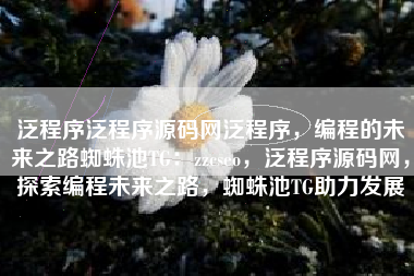 泛程序泛程序源码网泛程序，编程的未来之路蜘蛛池TG：zzcseo，泛程序源码网，探索编程未来之路，蜘蛛池TG助力发展