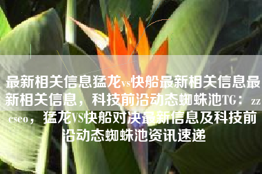 最新相关信息猛龙vs快船最新相关信息最新相关信息，科技前沿动态蜘蛛池TG：zzcseo，猛龙VS快船对决最新信息及科技前沿动态蜘蛛池资讯速递