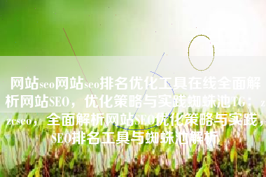 网站seo网站seo排名优化工具在线全面解析网站SEO，优化策略与实践蜘蛛池TG：zzcseo，全面解析网站SEO优化策略与实践，SEO排名工具与蜘蛛池解析