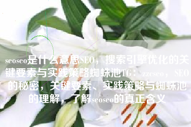 seoseo是什么意思SEO，搜索引擎优化的关键要素与实践策略蜘蛛池TG：zzcseo，SEO的秘密，关键要素、实践策略与蜘蛛池的理解，了解seoseo的真正含义