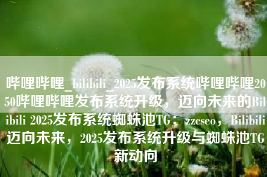 哔哩哔哩_bilibili_2025发布系统哔哩哔哩2050哔哩哔哩发布系统升级，迈向未来的Bilibili 2025发布系统蜘蛛池TG：zzcseo，Bilibili迈向未来，2025发布系统升级与蜘蛛池TG新动向