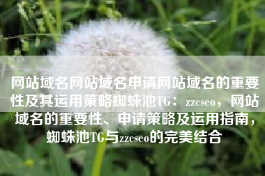 网站域名网站域名申请网站域名的重要性及其运用策略蜘蛛池TG：zzcseo，网站域名的重要性、申请策略及运用指南，蜘蛛池TG与zzcseo的完美结合