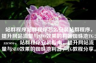 站群程序站群程序怎么安装站群程序，提升网站流量与SEO效果的利器蜘蛛池TG：zzcseo，站群程序安装指南，提升网站流量与SEO效果的蜘蛛池利器，TG教程分享。