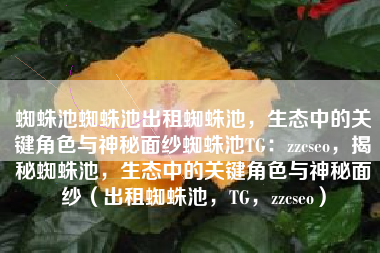 蜘蛛池蜘蛛池出租蜘蛛池，生态中的关键角色与神秘面纱蜘蛛池TG：zzcseo，揭秘蜘蛛池，生态中的关键角色与神秘面纱（出租蜘蛛池，TG，zzcseo）