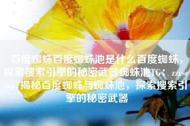 百度蜘蛛百度蜘蛛池是什么百度蜘蛛，探索搜索引擎的秘密武器蜘蛛池TG：zzcseo，揭秘百度蜘蛛与蜘蛛池，探索搜索引擎的秘密武器