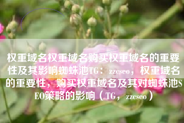 权重域名权重域名购买权重域名的重要性及其影响蜘蛛池TG：zzcseo，权重域名的重要性，购买权重域名及其对蜘蛛池SEO策略的影响（TG，zzcseo）