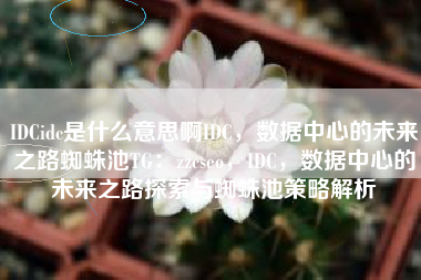 IDCidc是什么意思啊IDC，数据中心的未来之路蜘蛛池TG：zzcseo，IDC，数据中心的未来之路探索与蜘蛛池策略解析