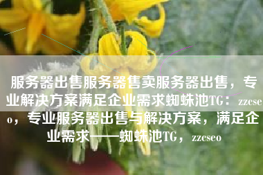 服务器出售服务器售卖服务器出售，专业解决方案满足企业需求蜘蛛池TG：zzcseo，专业服务器出售与解决方案，满足企业需求——蜘蛛池TG，zzcseo