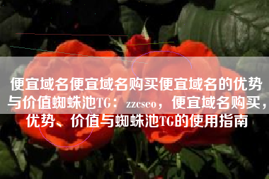 便宜域名便宜域名购买便宜域名的优势与价值蜘蛛池TG：zzcseo，便宜域名购买，优势、价值与蜘蛛池TG的使用指南