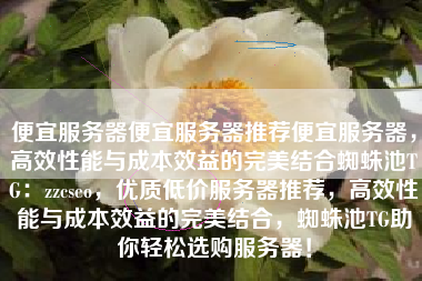 便宜服务器便宜服务器推荐便宜服务器，高效性能与成本效益的完美结合蜘蛛池TG：zzcseo，优质低价服务器推荐，高效性能与成本效益的完美结合，蜘蛛池TG助你轻松选购服务器！