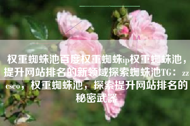 权重蜘蛛池百度权重蜘蛛ip权重蜘蛛池，提升网站排名的新领域探索蜘蛛池TG：zzcseo，权重蜘蛛池，探索提升网站排名的秘密武器