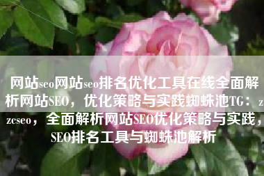 网站seo网站seo排名优化工具在线全面解析网站SEO，优化策略与实践蜘蛛池TG：zzcseo，全面解析网站SEO优化策略与实践，SEO排名工具与蜘蛛池解析