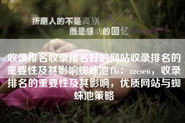 收录排名收录排名好的网站收录排名的重要性及其影响蜘蛛池TG：zzcseo，收录排名的重要性及其影响，优质网站与蜘蛛池策略