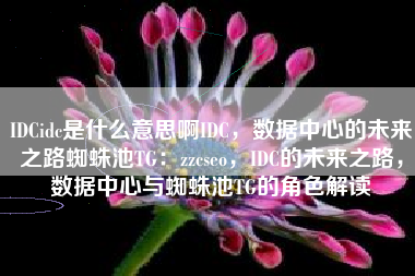 IDCidc是什么意思啊IDC，数据中心的未来之路蜘蛛池TG：zzcseo，IDC的未来之路，数据中心与蜘蛛池TG的角色解读