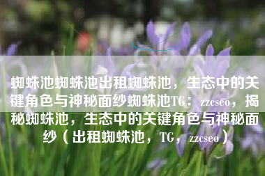 蜘蛛池蜘蛛池出租蜘蛛池，生态中的关键角色与神秘面纱蜘蛛池TG：zzcseo，揭秘蜘蛛池，生态中的关键角色与神秘面纱（出租蜘蛛池，TG，zzcseo）