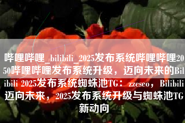 哔哩哔哩_bilibili_2025发布系统哔哩哔哩2050哔哩哔哩发布系统升级，迈向未来的Bilibili 2025发布系统蜘蛛池TG：zzcseo，Bilibili迈向未来，2025发布系统升级与蜘蛛池TG新动向